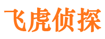 金城江飞虎私家侦探公司